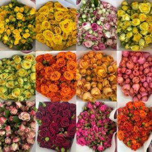 Spray Roses - Flower Delivery Bangkok