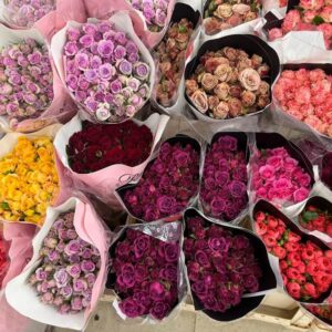 Colors of spray roses - Flowers-Bangkok