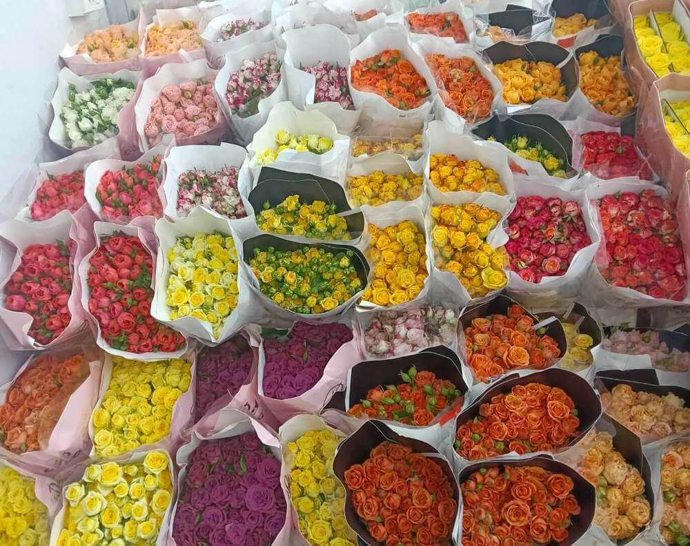 Spray Rose Delivery Bangkok - Bud Color Options