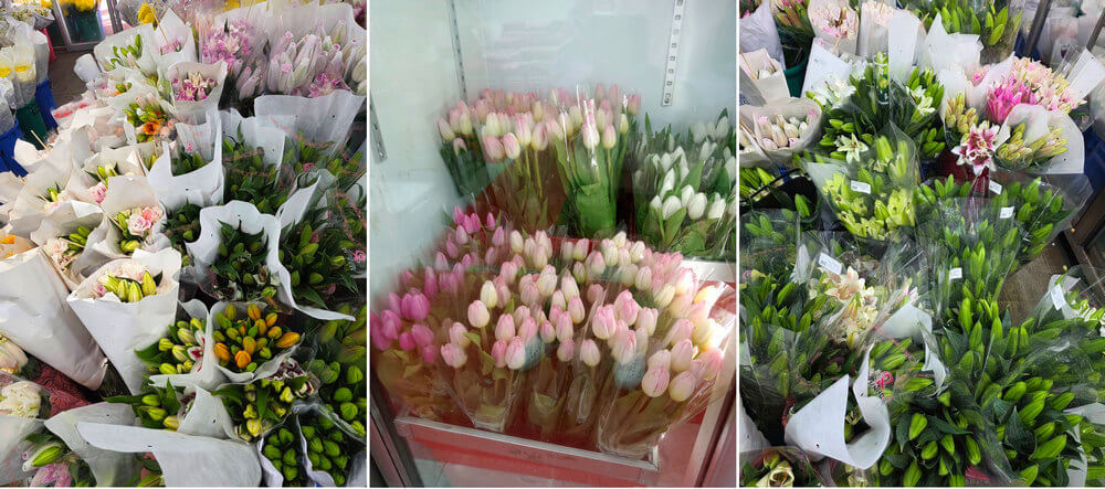 Many bouquets of fresh tulops in Bangkok (Flowers-Bangkok flower shop)