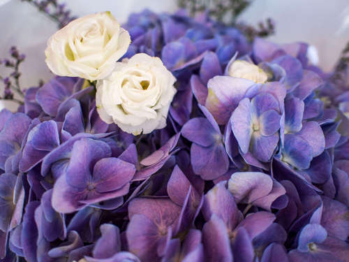 All bouquets of Flower Shop in Bangkok