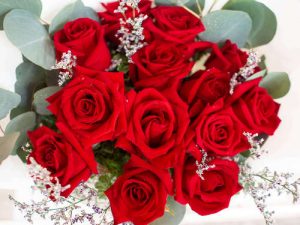Premium Red Roses Delivery in Bangkok