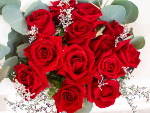 Premium Red Roses Delivery in Bangkok