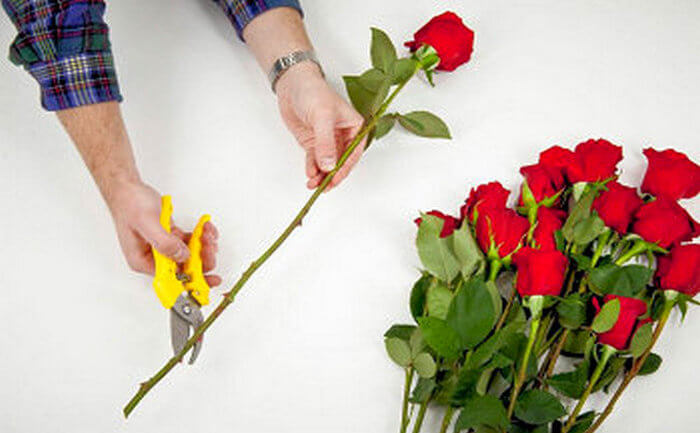 Tips for proper care of flower bouquets