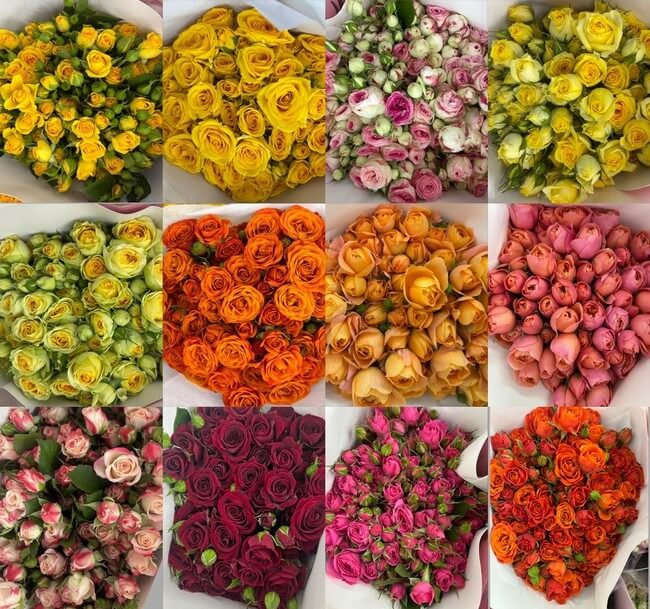 Spray Roses - Flower Delivery Bangkok