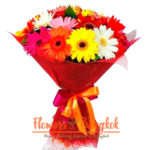 18 gerberas mixed color - flowers-bangkok