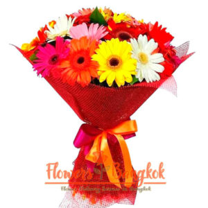 18 gerberas mixed color - flowers-bangkok