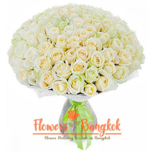 Flowers-Bangkok - 100 white roses new