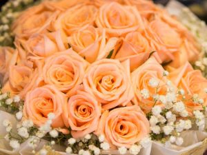 Premium Orange Roses - Flowers-Bangkok