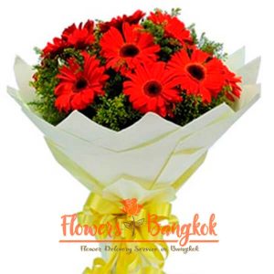 12 Red Gerberas - Flower Delivery Bangkok