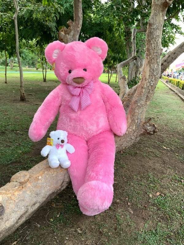 Pink Teddy Bear 140 cn - Flower Delivery Bangkok