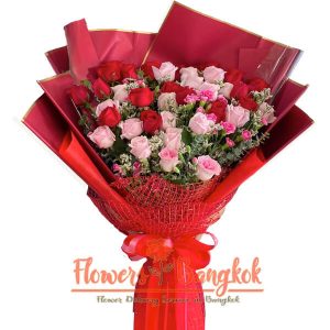 30 Pink and Red Roses - Flower Delivery Bangkok