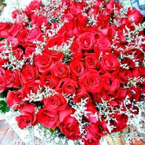 100 Premium Red Roses + Statice - Flower Delivery Bangkok