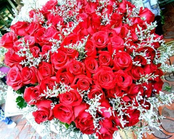 100 Premium Red Roses + Statice - Flower Delivery Bangkok