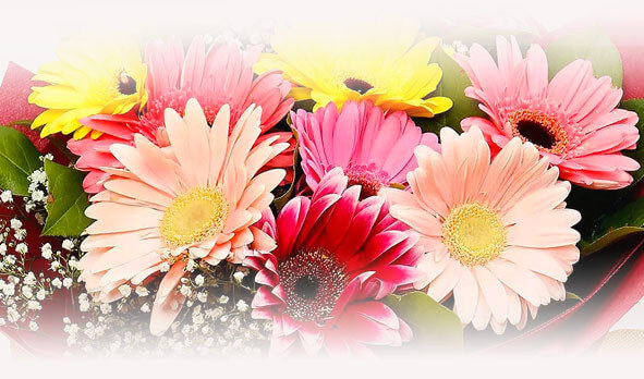 Gerberas bouquets - Flower Delivery Bangkok