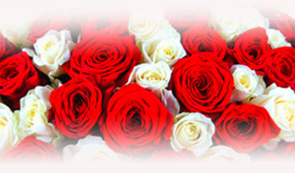 Roses bouquets - Flower Delivery Bangkok