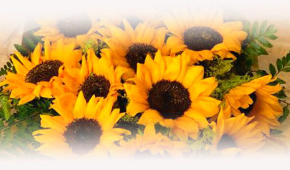 Sunflowers bouquets - Flower Delivery Bangkok