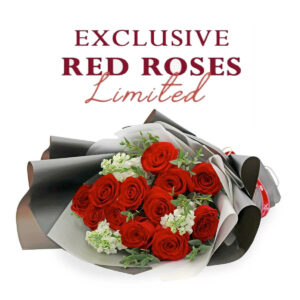 10 Premium Red Roses bouquet (Equador)