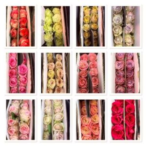 1 Premium Rose - Flower Delivery Bangkok