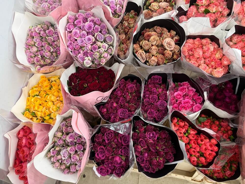 Colors of spray roses - Flowers-Bangkok